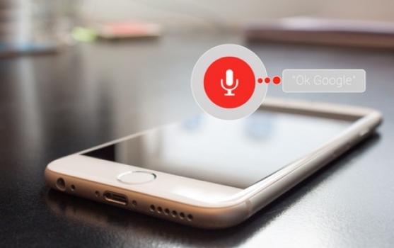 Have you considered voice SEO small_5-9-18_06-29-50.jpg